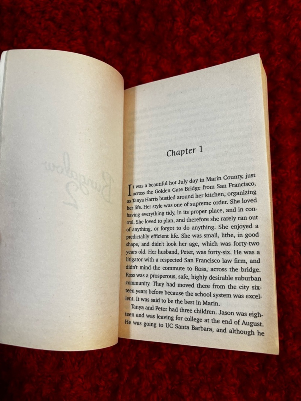 Danielle Steel Romance Bundle - 3 Paperback Novels 📚💋 - Picture 7 of 8